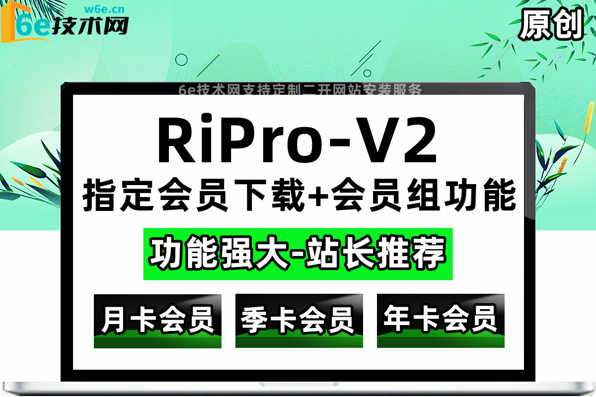 RiPro-V2【指定某个会员下载+多个会员组功能】强大功能-具体介绍可看下面说明