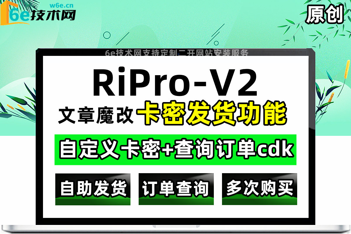 RiPro-V2主题-【普通版】-自动卡密发货+查询订单功能-支持自定义文字-链接-直观明了-非常实用