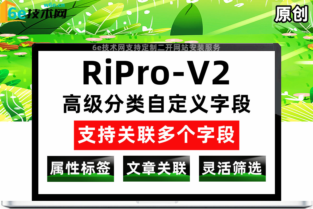 RiPro-V2-【高级自定义属性字段升级版】文章可以关联多个字段属性-优化属性筛选-非插件