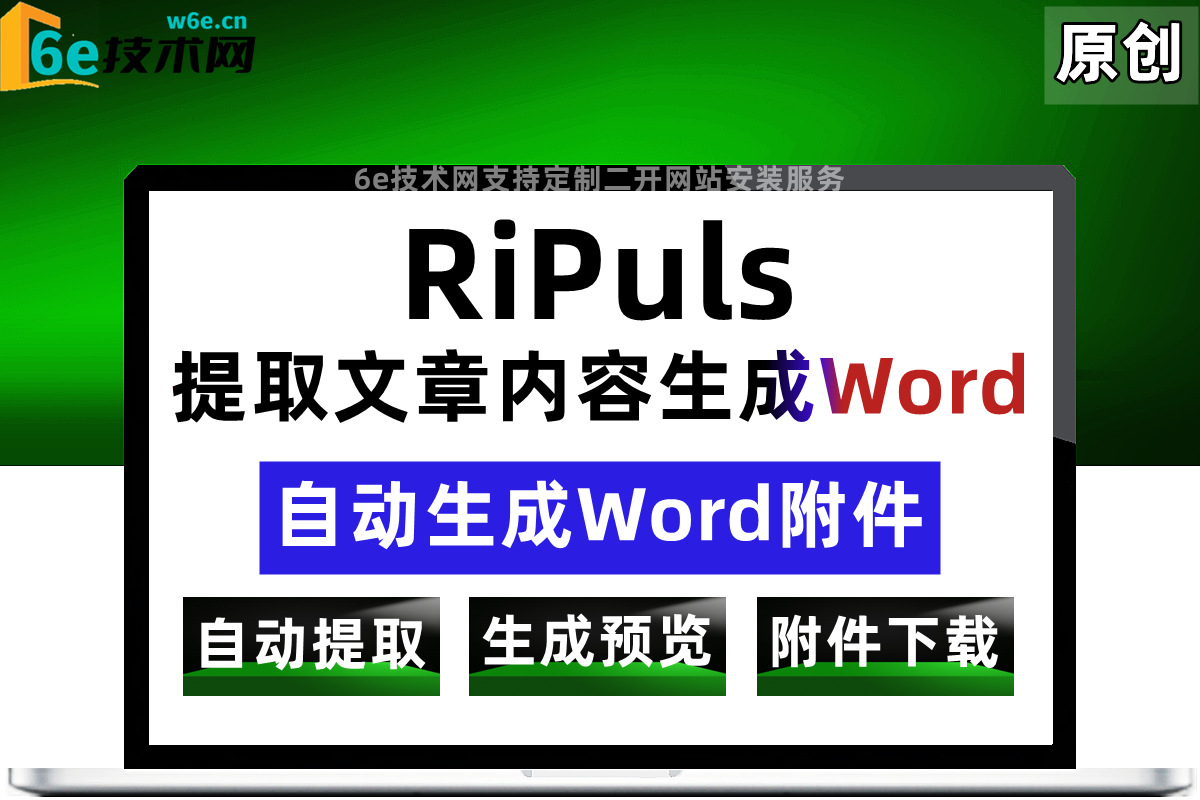 RiPuls主题-【文章内容生成-Word文档】通过独立的下载按钮-自动生成Word文档-该按钮仅VIP可见