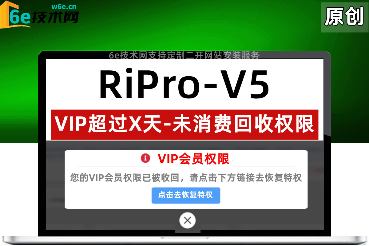 RiPro-V5-【VIP会员限时收回】-超过XX天没有产生消费就取消权限-支付任意金额重新恢复VIP下载资格