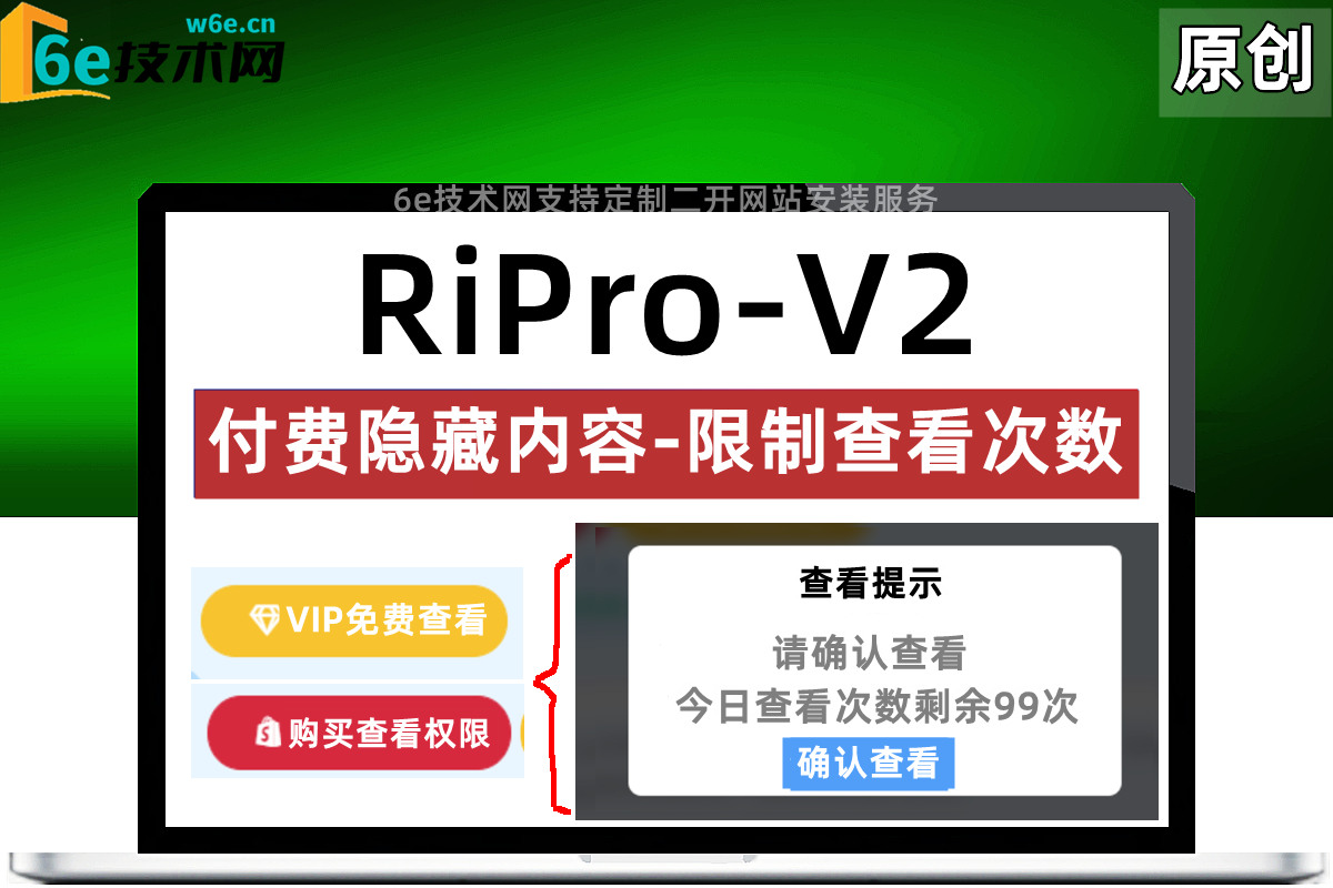 RiPro-V2-【付费隐藏内容-限制查看次数】-可设置不同用户的查看次数额度-非插件