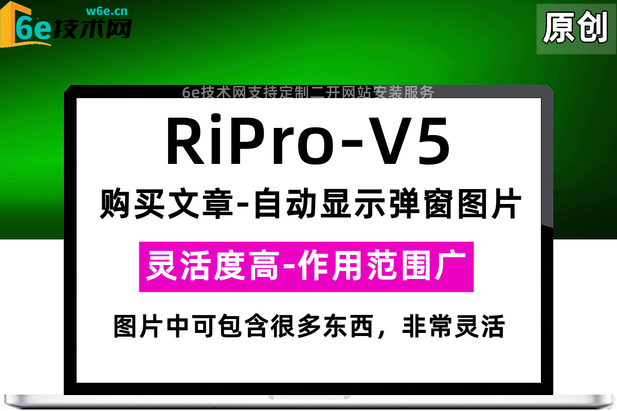 RiPro-V5-【购买文章后-自动显示弹窗图片】-每个文章可自定义上传图片-灵活度高-作用范围大家可研究一下